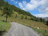 Colle delle Finestre e Assietta - 013